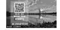 吴问中西： 为锦州大白话公文点赞 - 中国在线