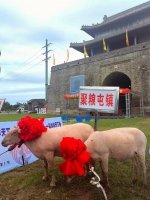 2023中国义县第六届民俗文化（伏羊）节盛大启幕 - 中国在线
