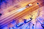 沈城『夜飞花』 - Syd.Com.Cn