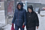 暴雪困扰早高峰 行人迎雪上班（组图） - 辽宁频道