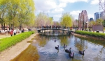 幸福沈阳拍出来 - Syd.Com.Cn