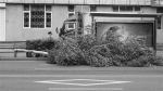 毁树 砸车 积水 堵车 狂风大雨惹了不少祸 - Syd.Com.Cn