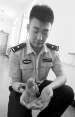 民警买鲜肉伺候小萌宠 - Syd.Com.Cn