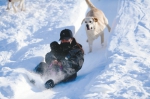 冬季滑雪激情绽放 - Syd.Com.Cn