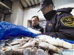 大连海关高效保障年货通关 - 辽宁频道