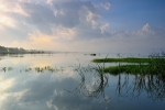 辽河生态景观建设：沈阳卧龙湖湿地科普馆——足不出户领略湿地风光 - 中国在线