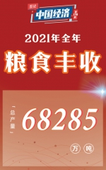 【图说中国经济】增速8.1%！十张海报速览2021年“成绩单” - 中国在线