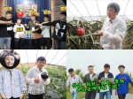 带好货出山同庆丰收节 - 中国在线